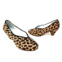 LINCE