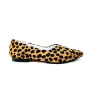 LINCE